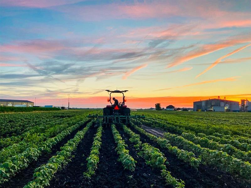 farmer on a tractor in a field