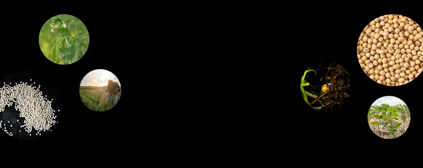 grower-tabbed-bg