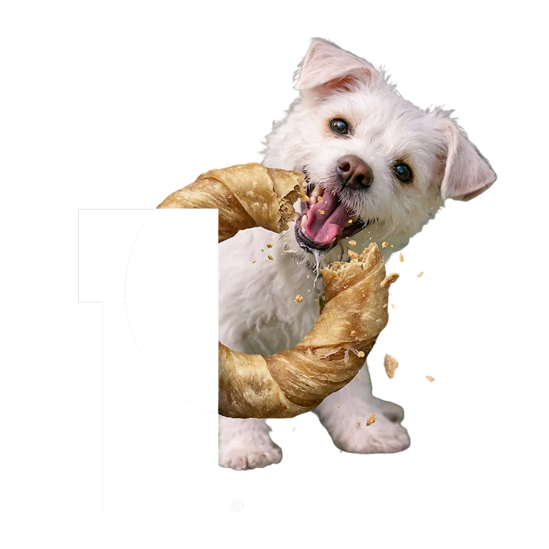 P Logo Dog Treat Ring