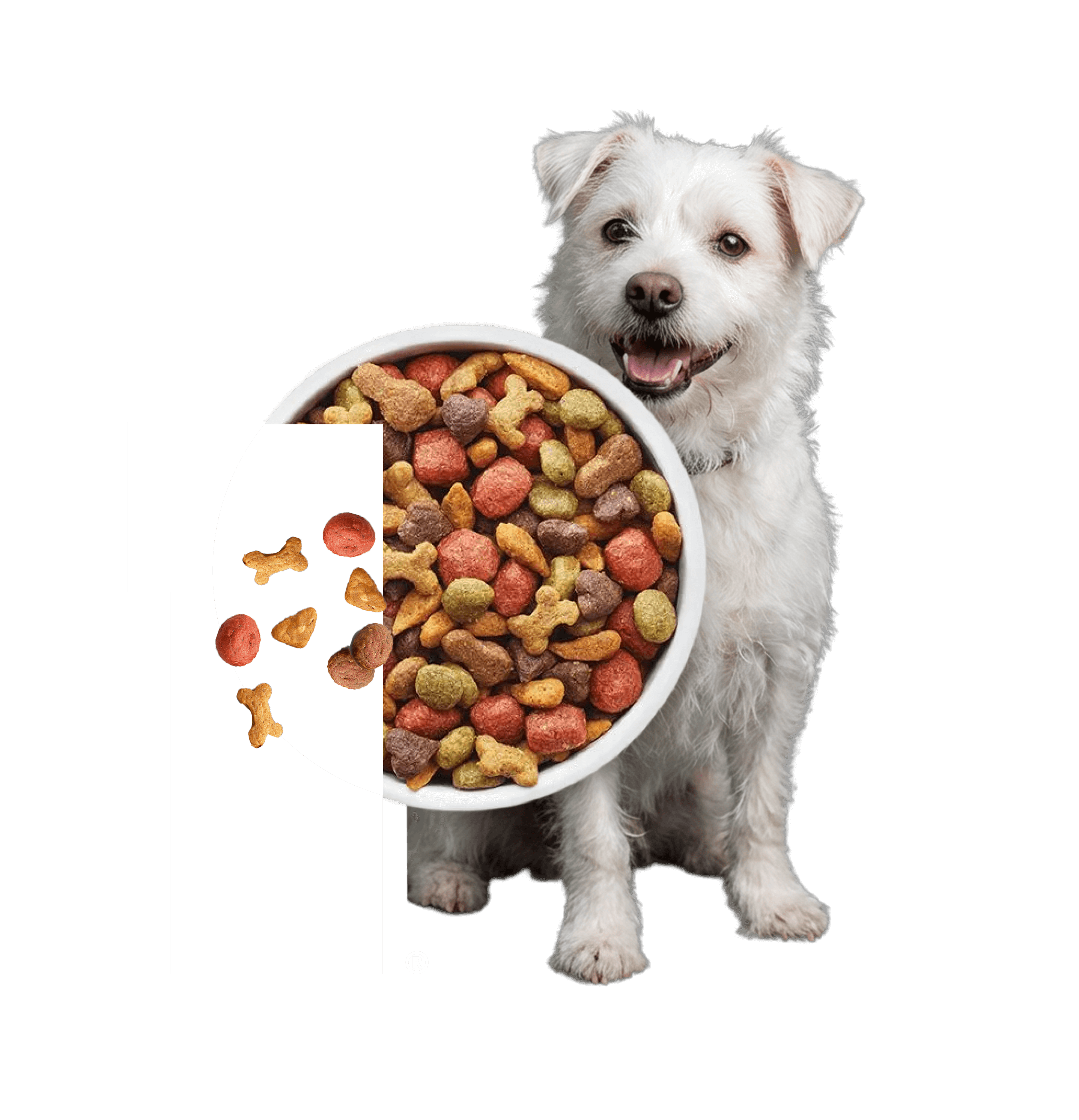 P Logo Dog Sitting with Kibble 