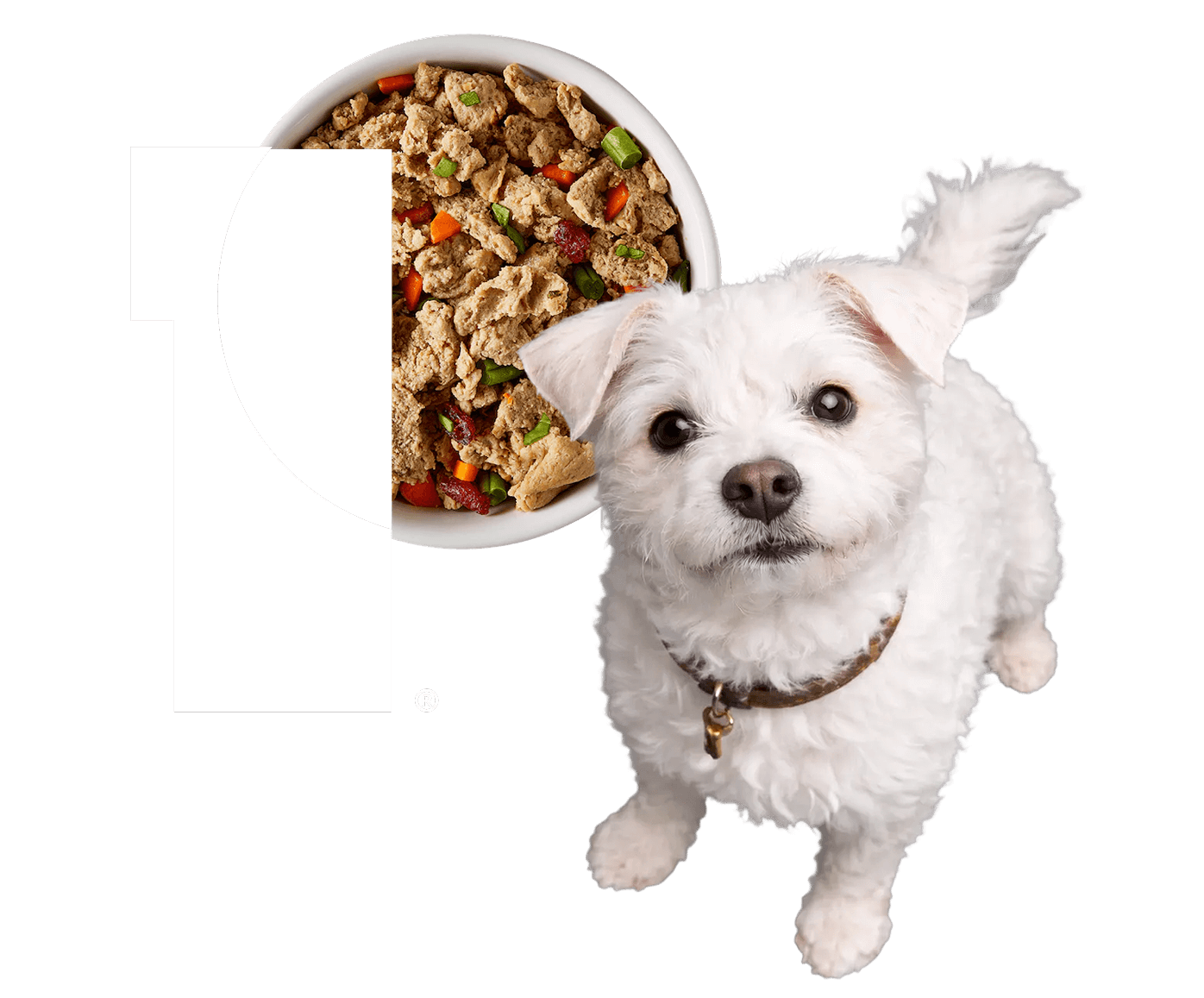 PURIS Logo Fresh Food 