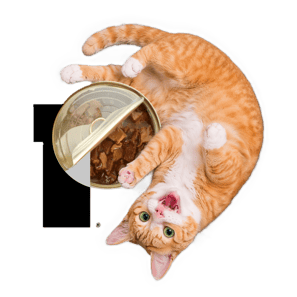 PURIS Pea Fiber (PF35-14)