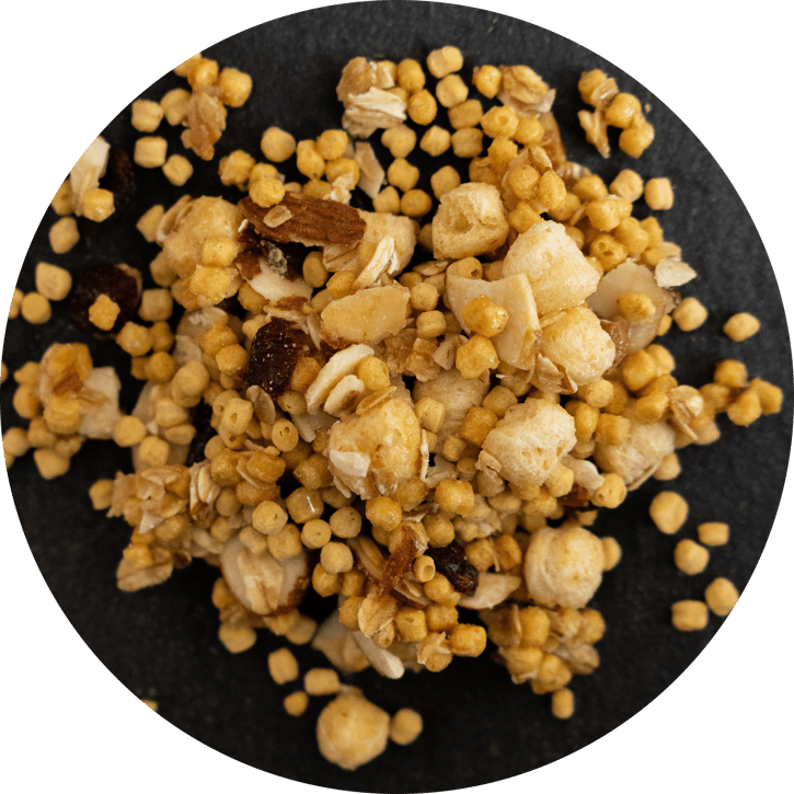 pea-protein-granola-1