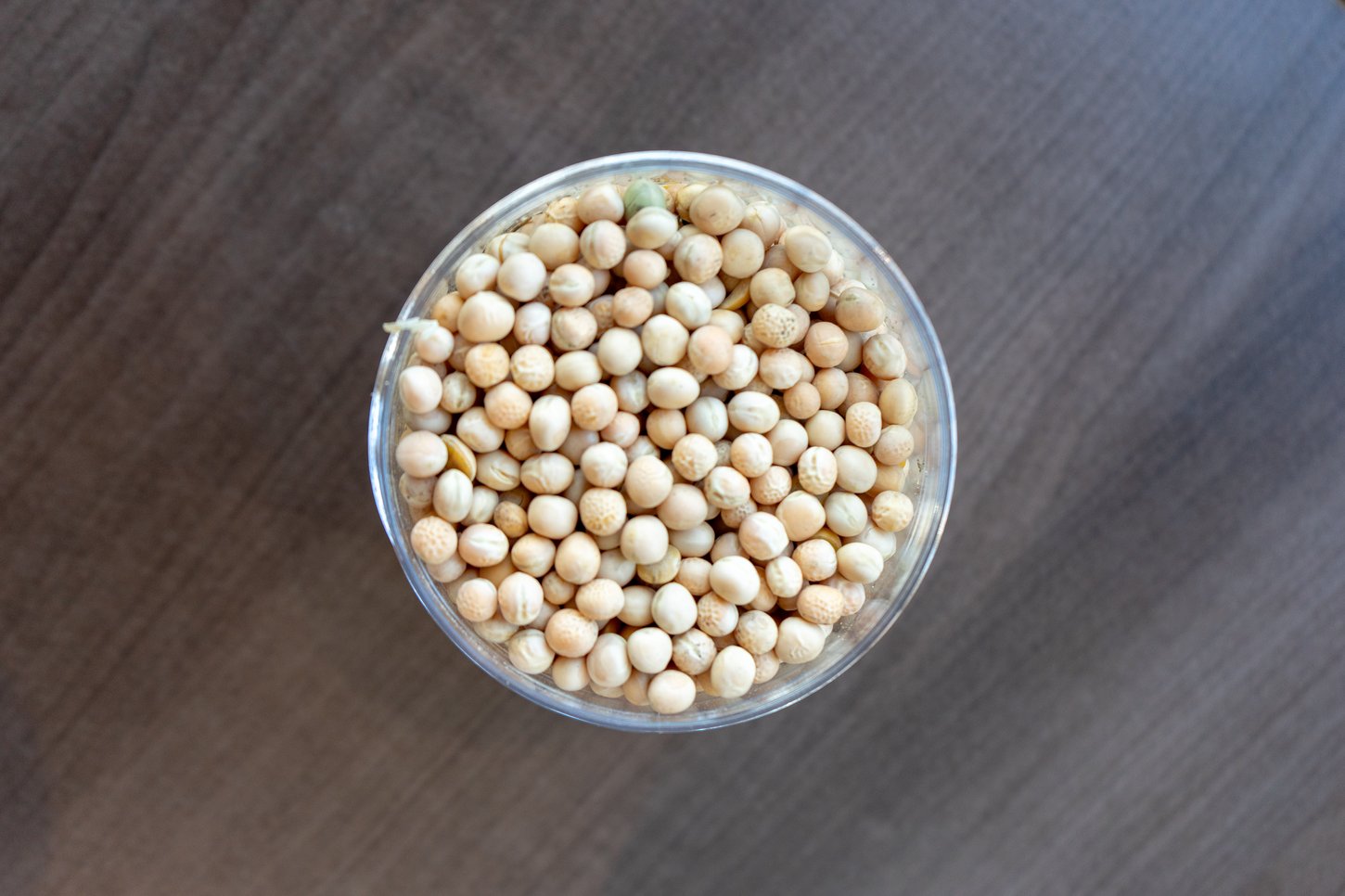 nonGMO_organic_yellow_field_pea