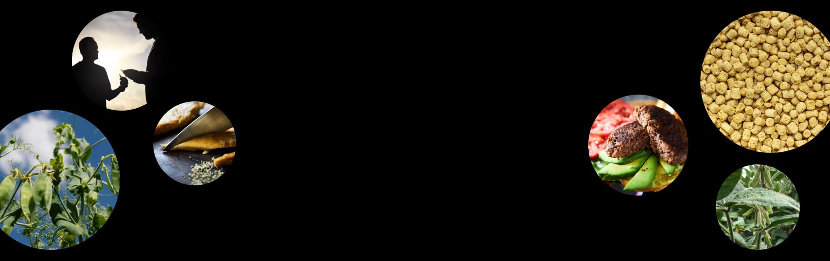 Silhouette of farmer with organic crops including soybeans, chickpeas, burger, and leafy greens on black background