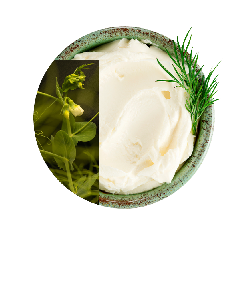 PURIS PURFava Function+ Pea Protein