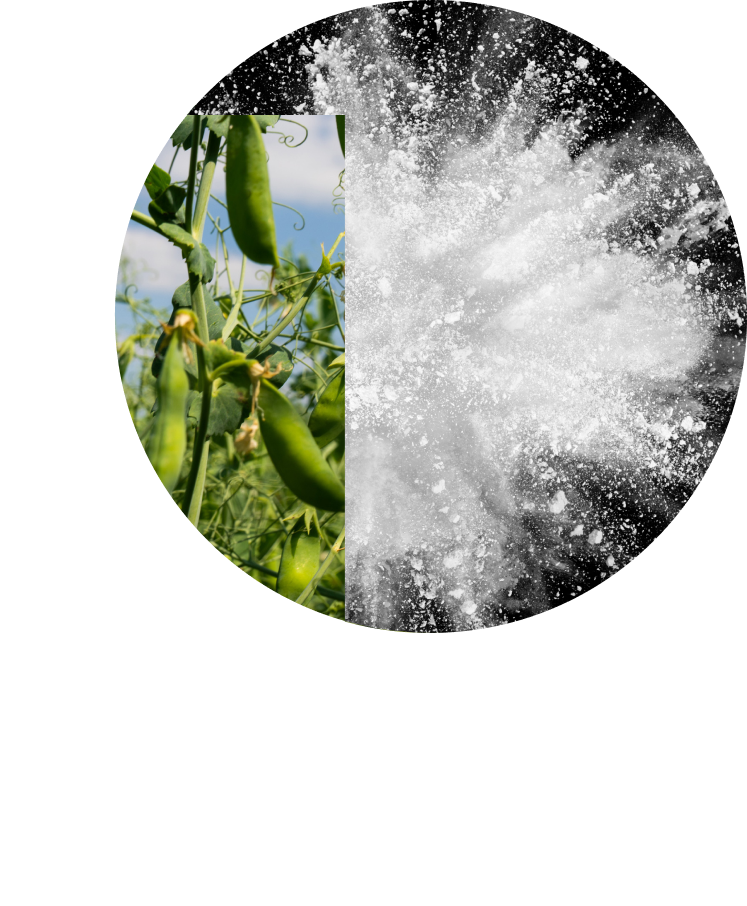 PURIS pea protein powder