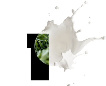 PURIS Pea Protein 870H (P870H)