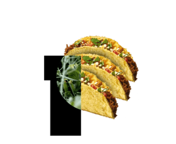 Organic PURIS Textured Pea Protein 80% (OTPP80)