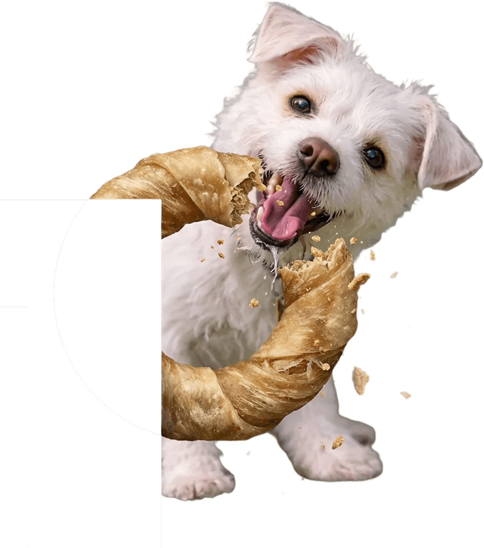 PURIS pet food ingredients logo number 1 with dog and treat