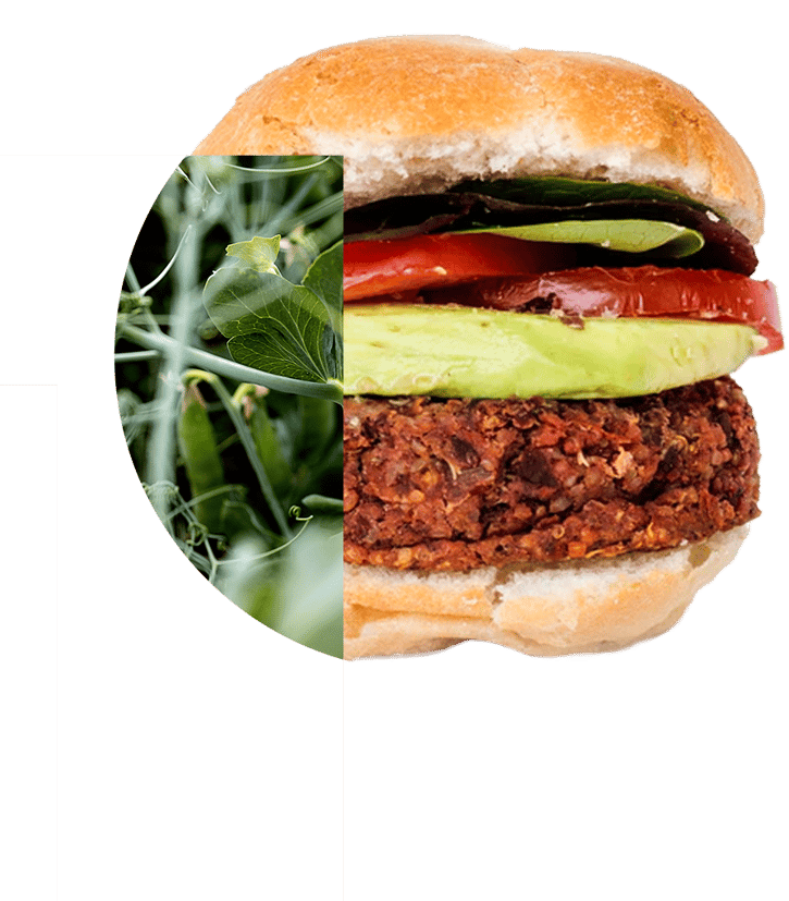 PURIS pea protein 860 burger