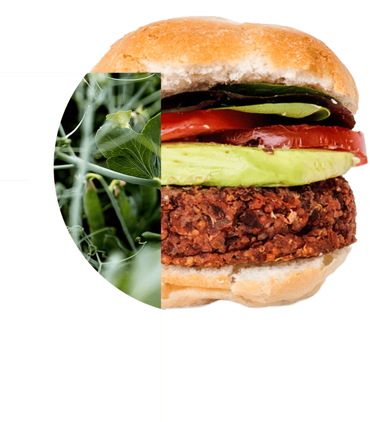 PURIS textured pea protein burger