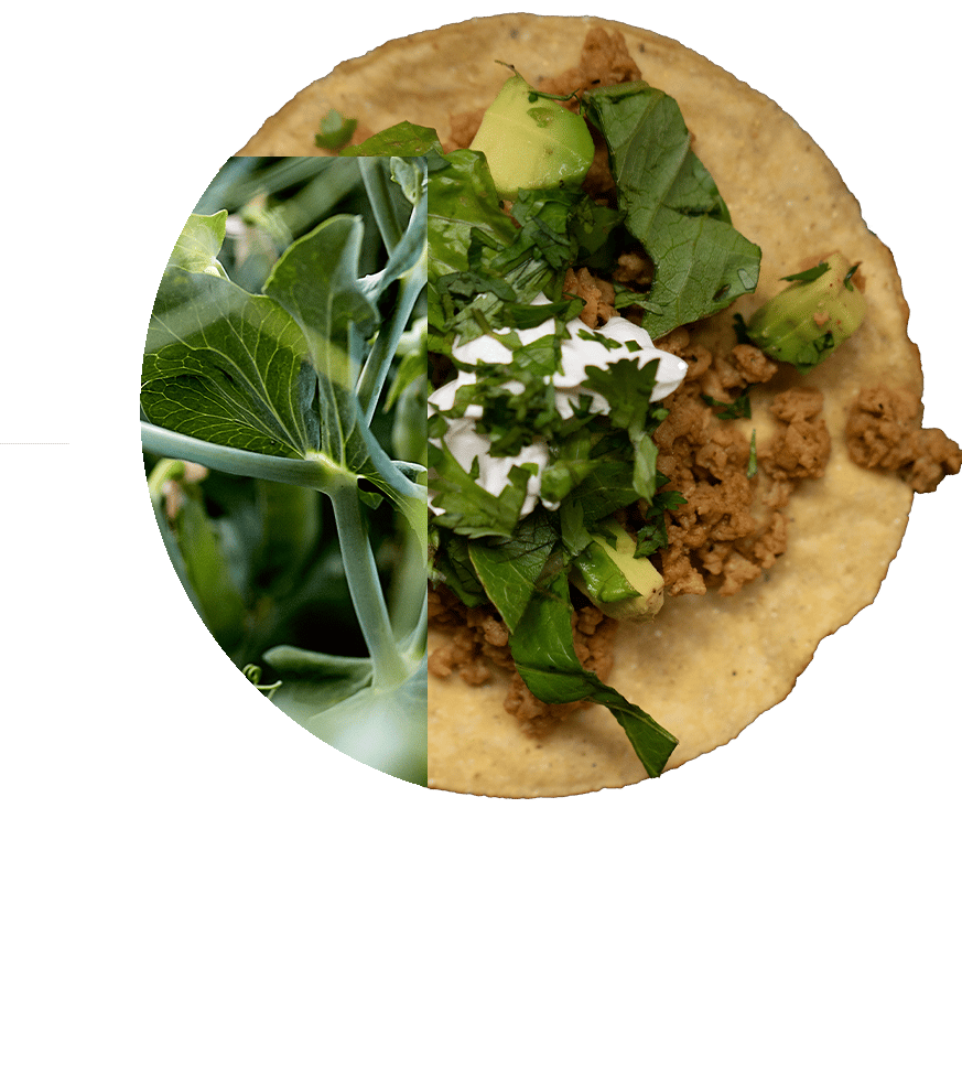 P_logos_peas1_W