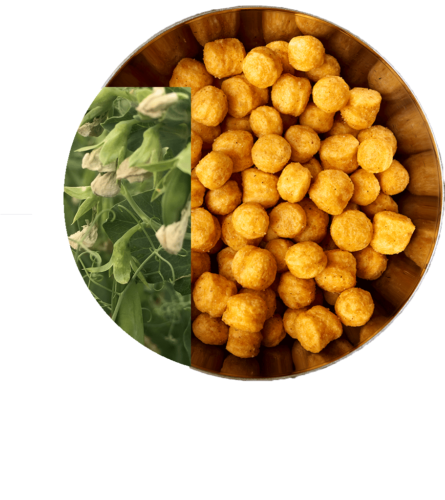 P_logos_peas3_W