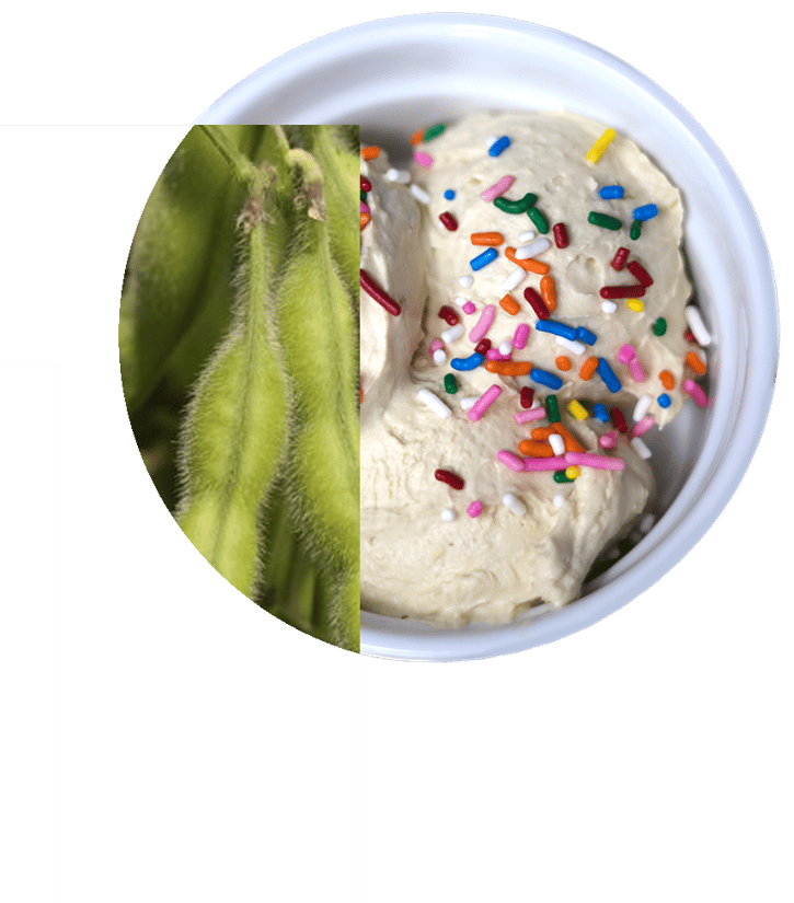 PURIS plant-based ice cream