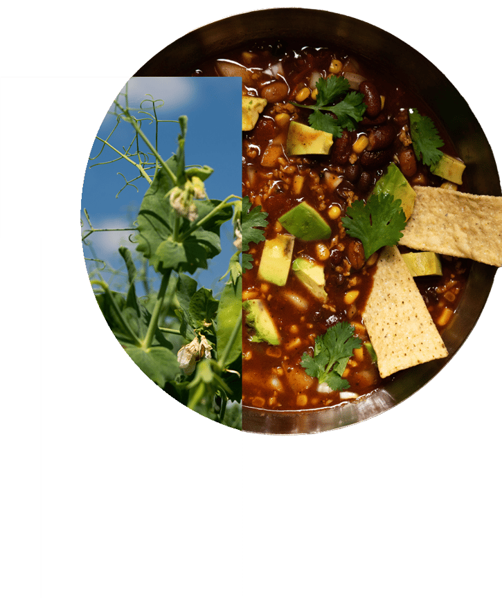 Plant-based protein soup