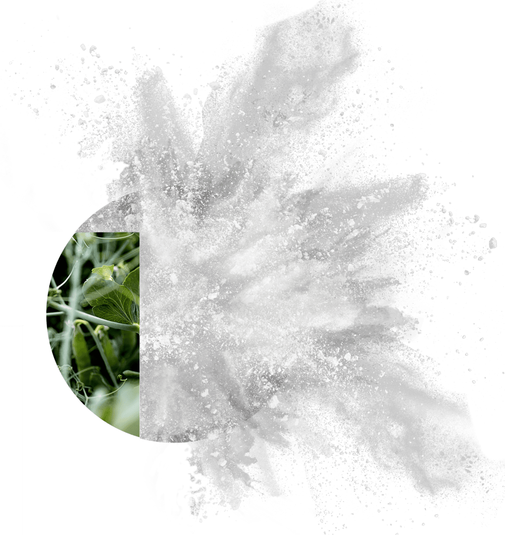 PURIS pea starch