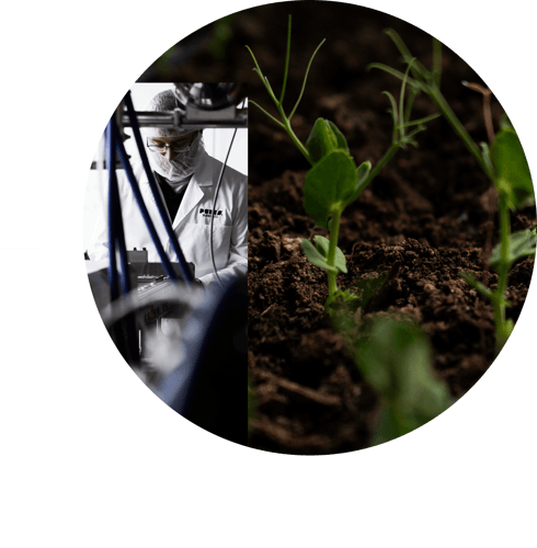 puris p with sprout logo on puris resources page