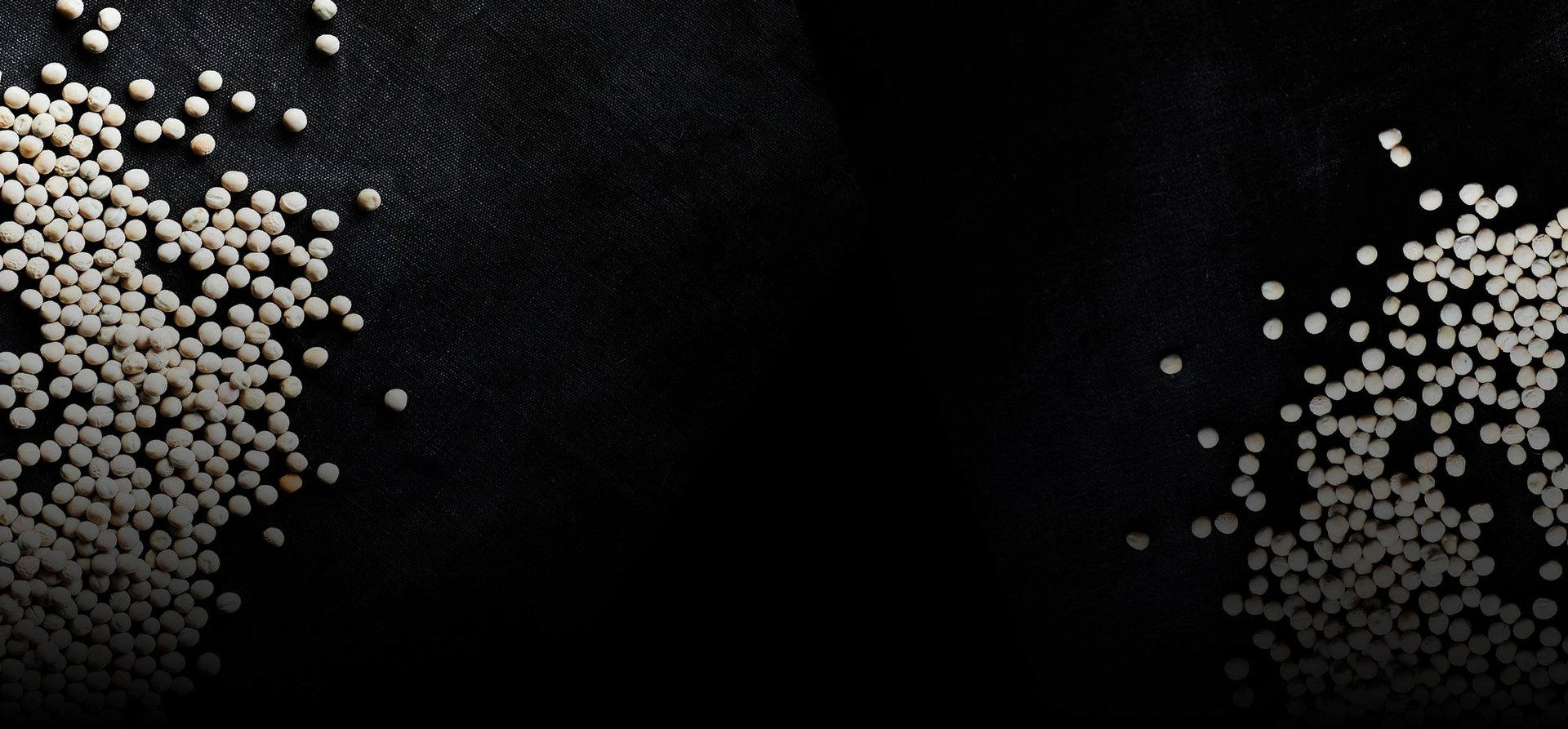 Scattered white pea seeds on black textured background with gradient lighting effect