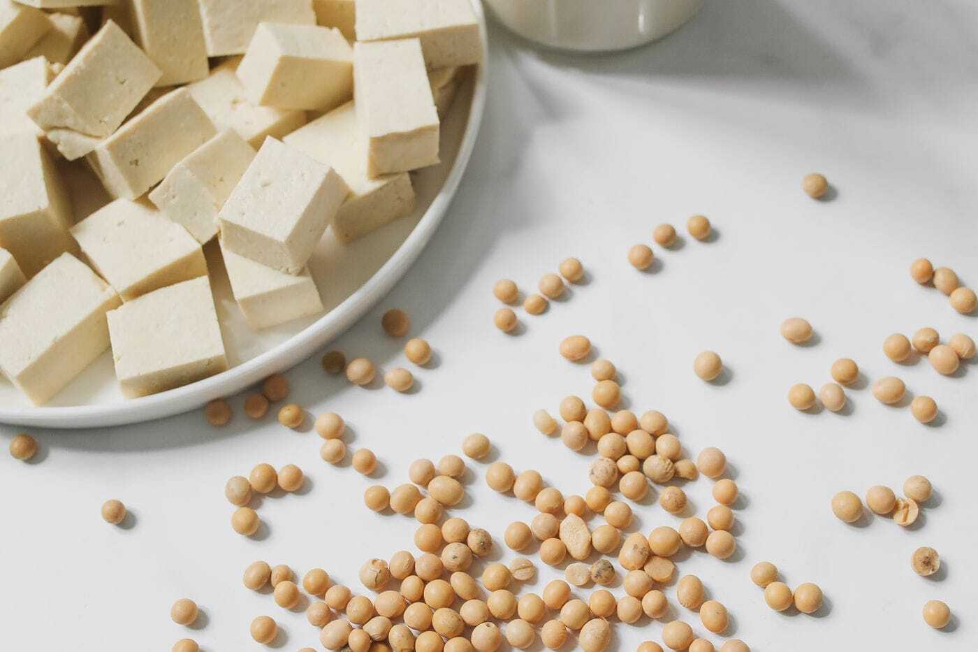 Tofu cubes, whole soybeans, and soy milk
