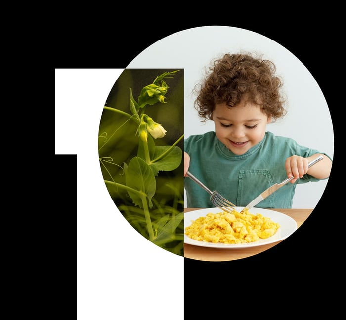 Kid eating plant protein food
