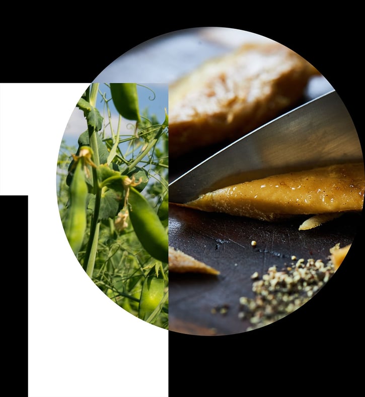 PURIS pea starch