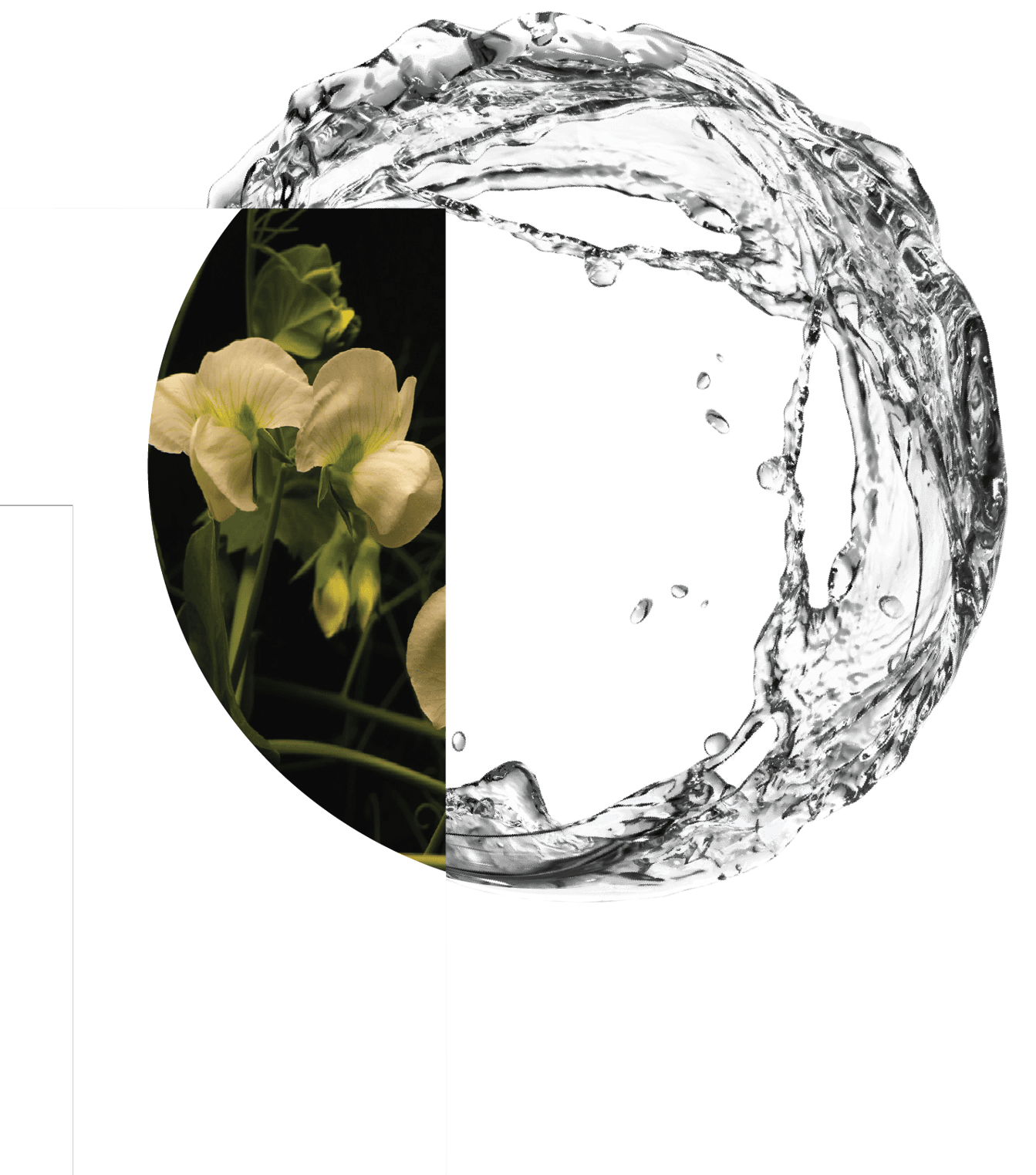 PURIS ClearP Logo 