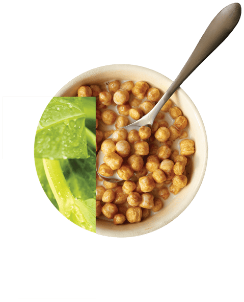 Bowl of crispy pea protein cereal with fresh green peas leaf garnish and spoon