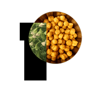 PURIS Pea Protein Puffs (4585)